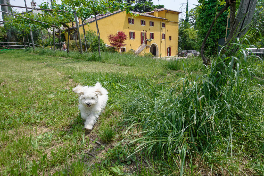 B&B Corte Jago Negrar Exterior foto